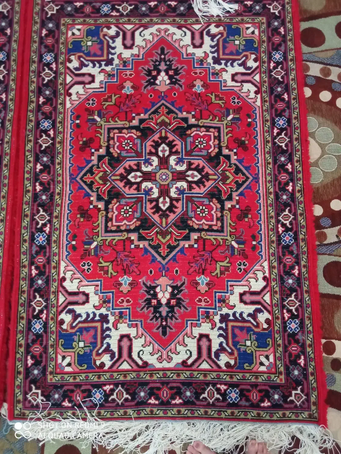 یک جفت فرش زرنیم هریس تاجری|فرش|تبریز, |دیوار