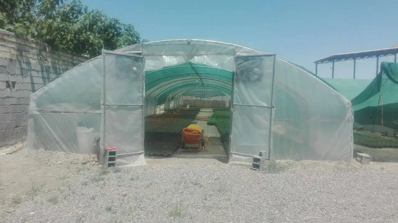 سازه گلخانه|مصالح و تجهیزات ساختمان|مشهد, چهاربرج|دیوار