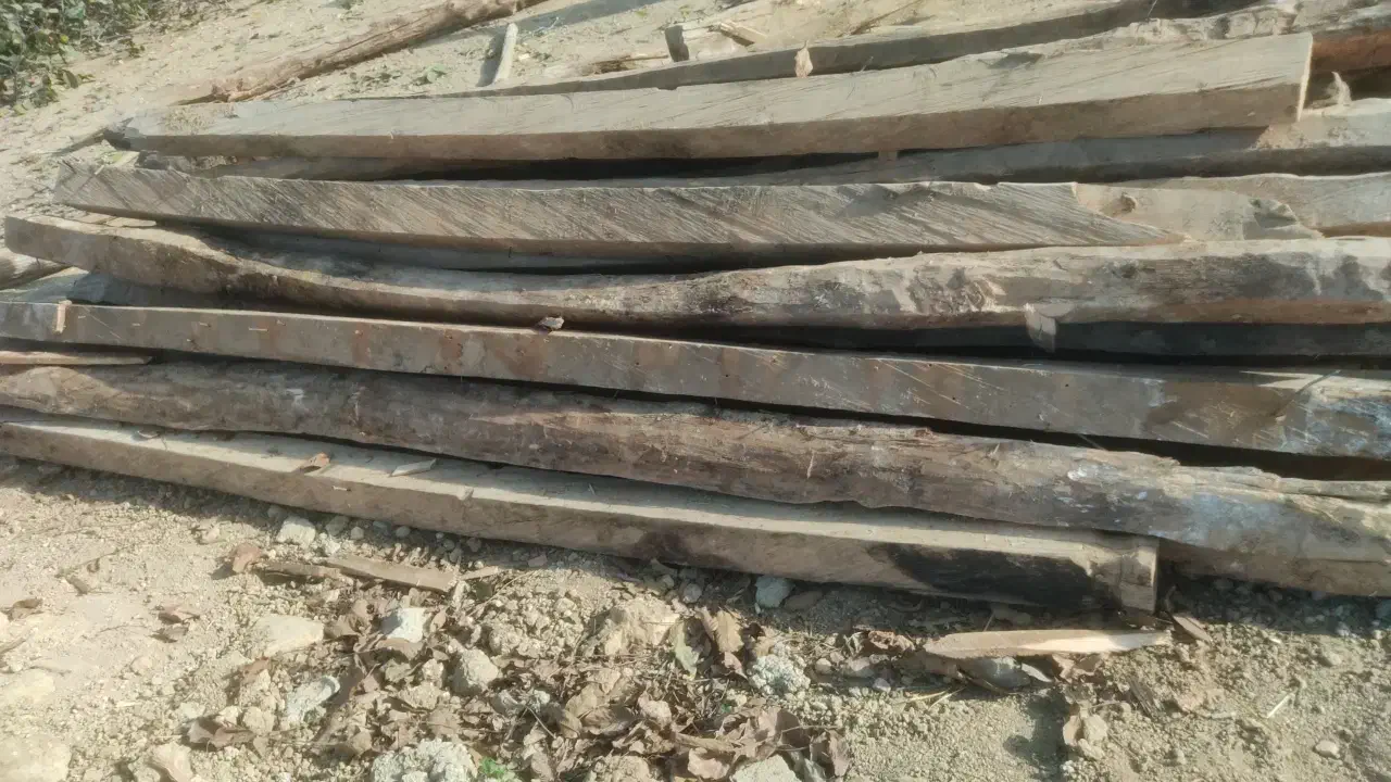 چوب فروشی|مصالح و تجهیزات ساختمان|مینودشت, |دیوار