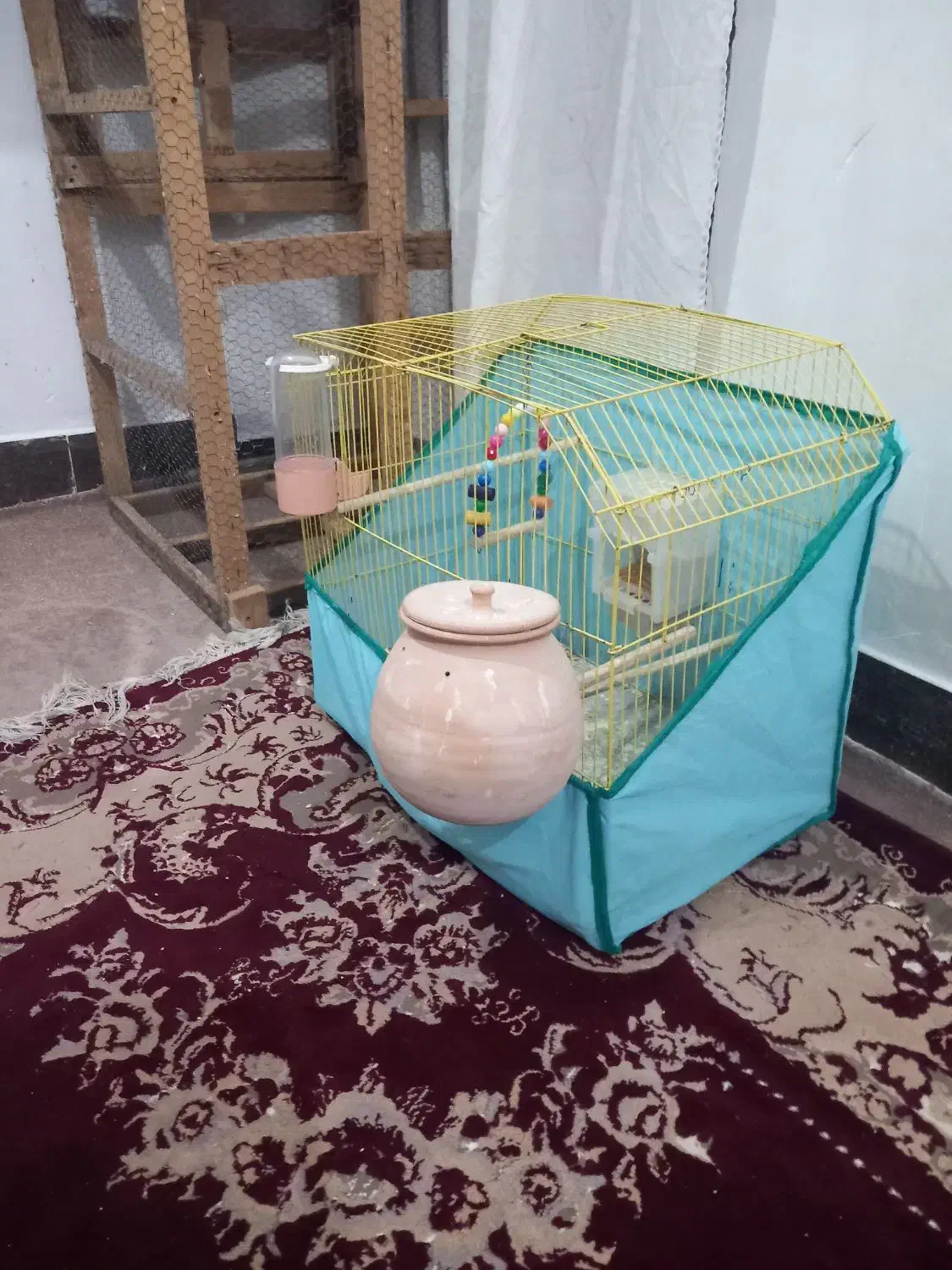 قفس مناسب مرغ‌عشق و عروس هلندی|لوازم جانبی حیوانات|خرمشهر, |دیوار