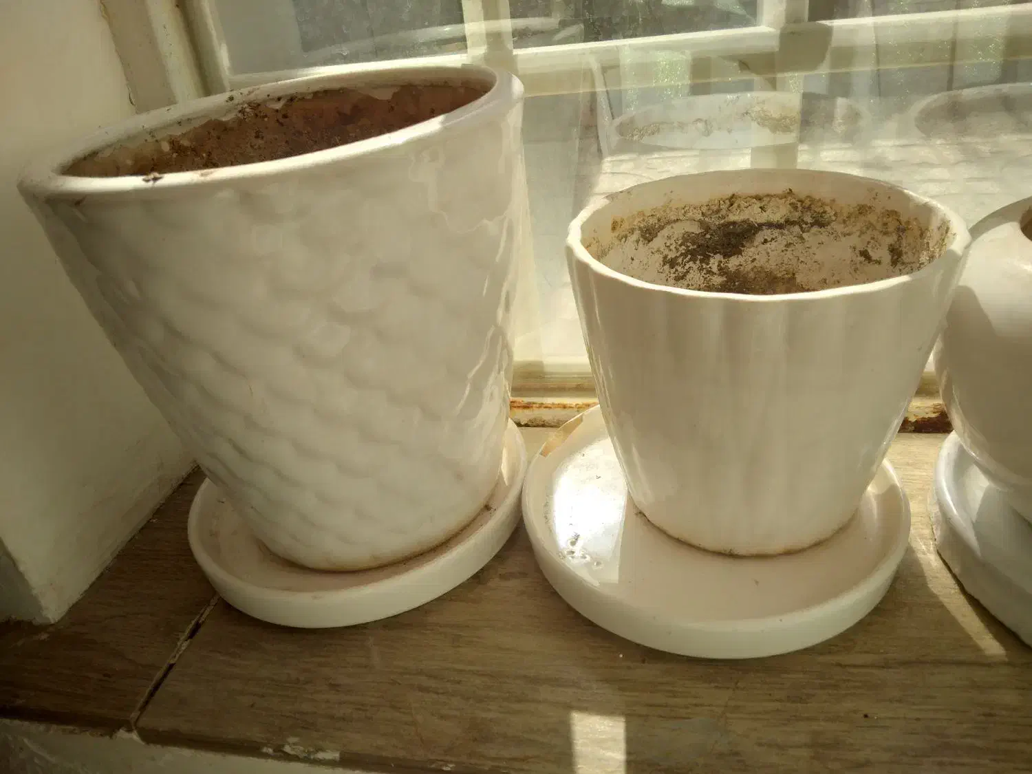 گلدون|گل مصنوعی|تربتحیدریه, پیشکوه|دیوار