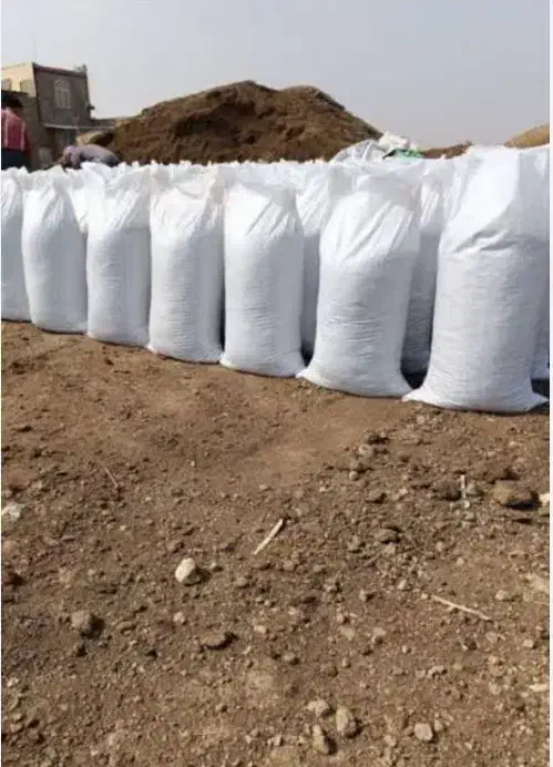 پرورش فروش کبوتر سبز انزیمیت دارو خارجی ارزن گندم|پرنده|تهران, خلیج فارس|دیوار