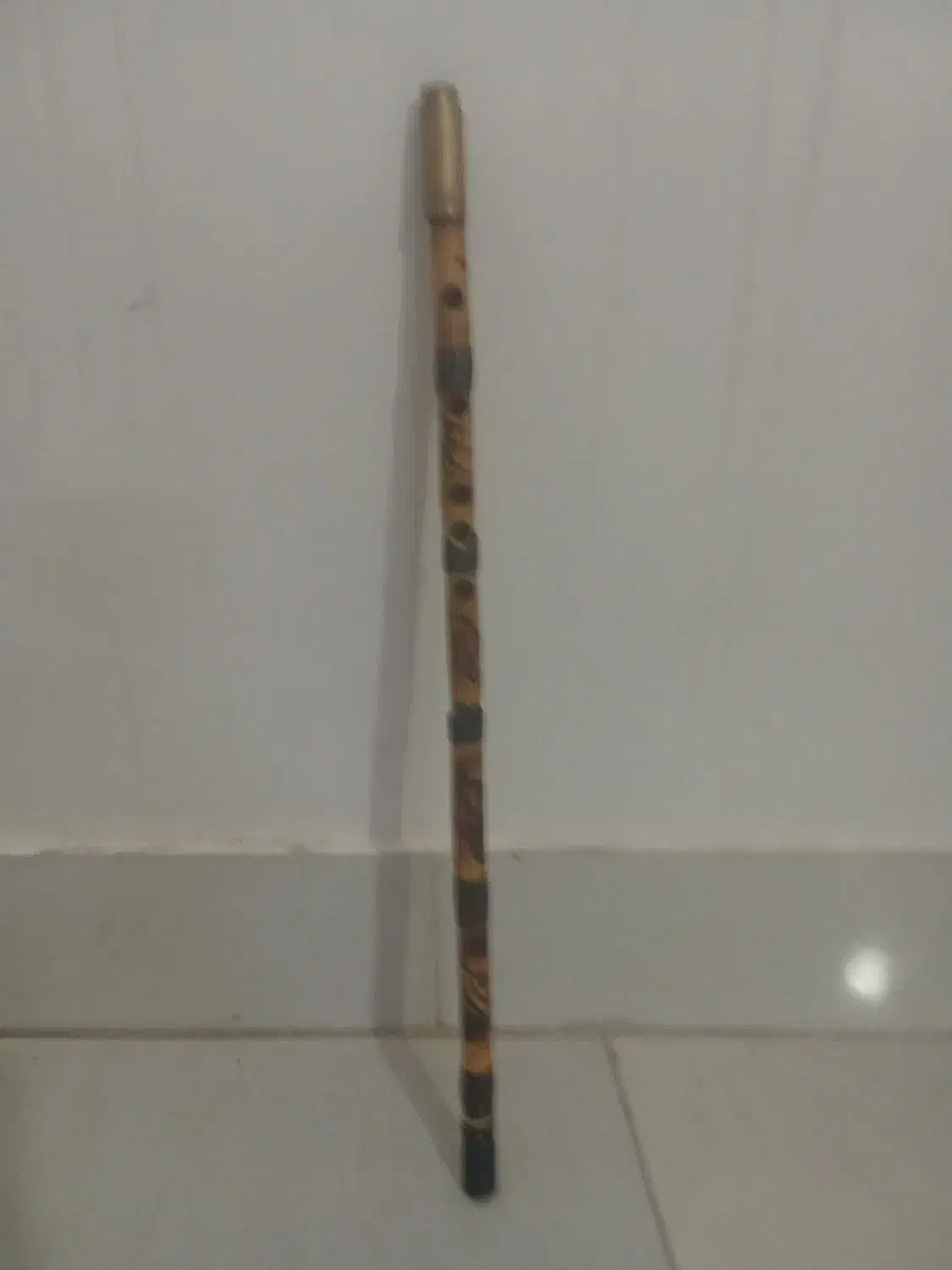 فلوت|سازهای بادی|نیشابور, بلوار گلها|دیوار