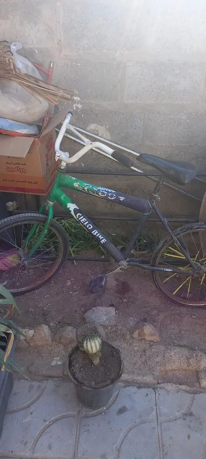 دوچرخه|دوچرخه، اسکیت، اسکوتر|فسا, |دیوار