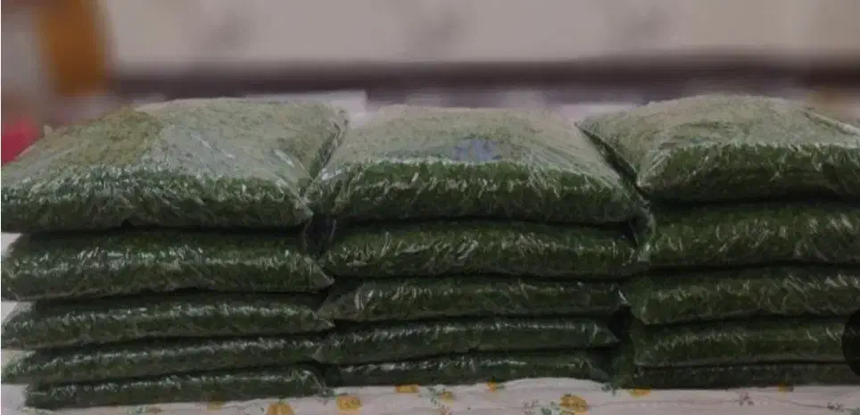 سبزی خورشتی|خوردنی و آشامیدنی|مسجد سلیمان, |دیوار