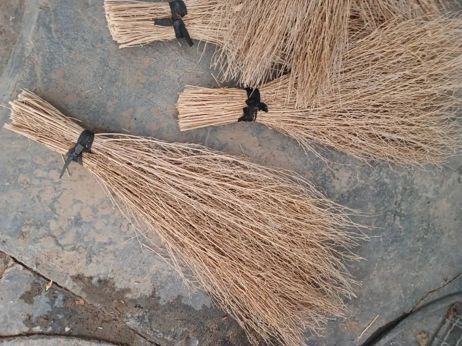 جارو پر و مرتب بسته شده|لوازم نظافت|کامیاران, |دیوار