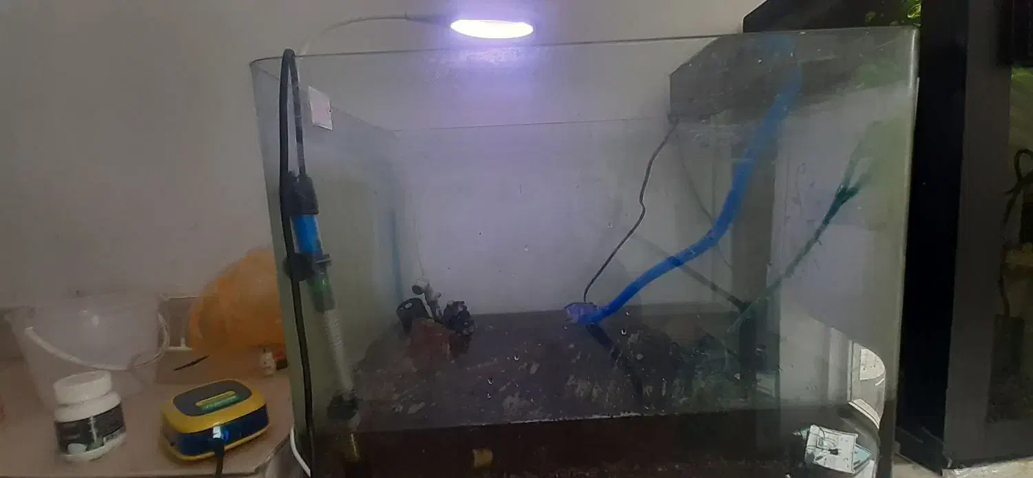 آکواریوم شیشه خم با تمام وسایل|ماهی|تبریز, |دیوار