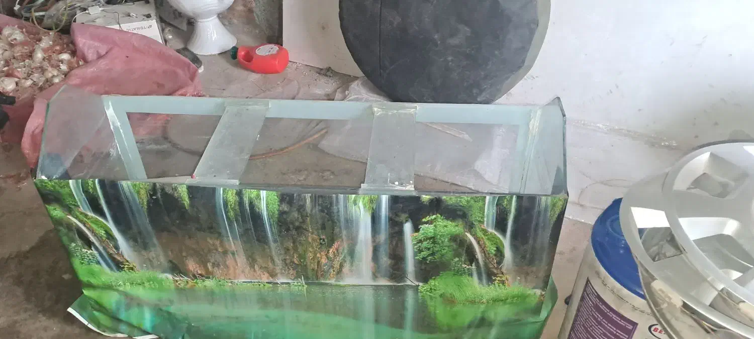 آکواریوم|ماهی|قائن, |دیوار