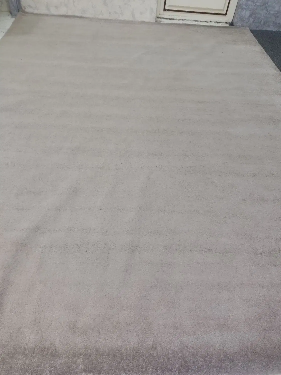 پالاز|فرش|بهبهان, |دیوار