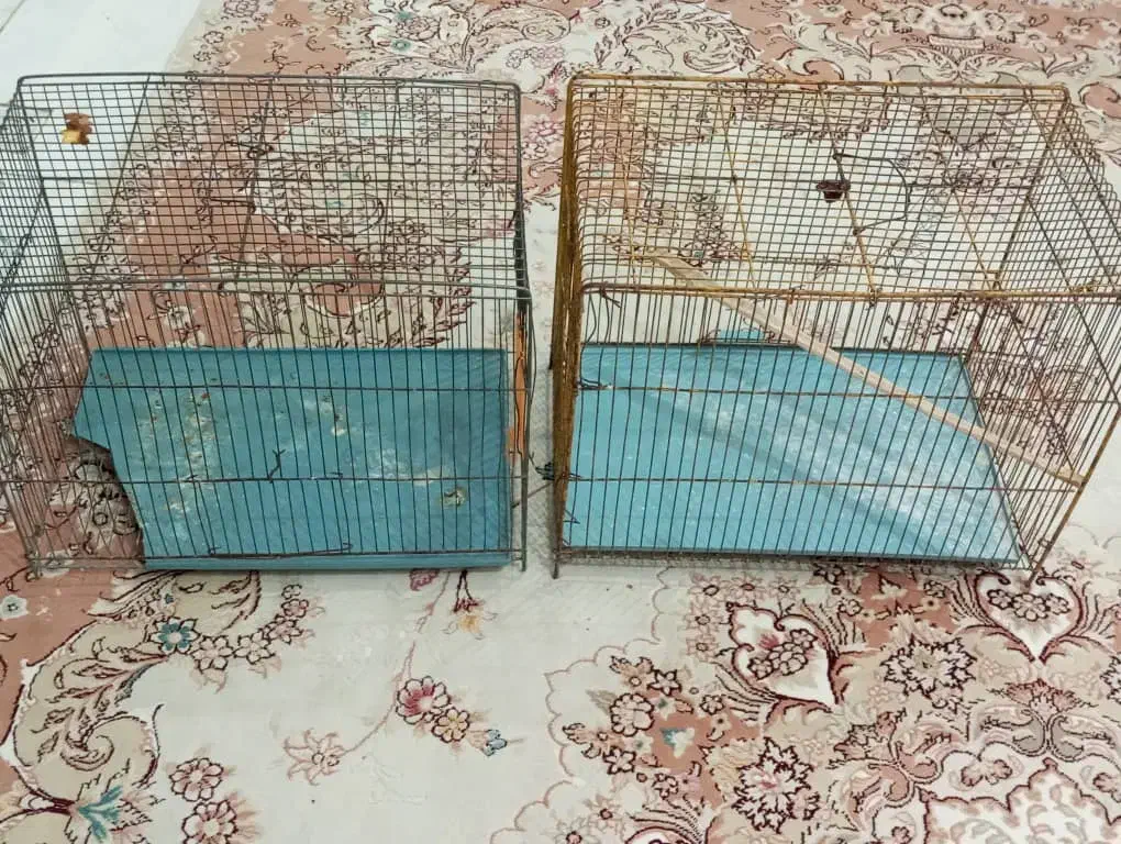 وسایل تمیز،ب دلیل جا به جایی|مبلمان خانگی و میز عسلی|اهواز, شریعتی جنوبی|دیوار