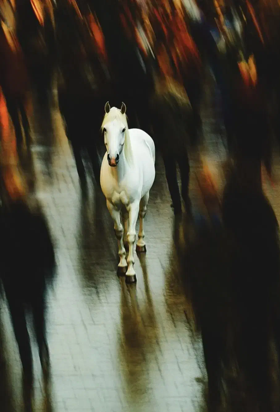 گوشیa55|موبایل|دزفول, |دیوار