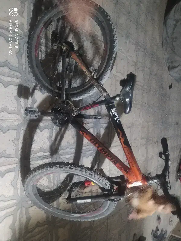 دوچرخه ۲۶ در حد نو|دوچرخه، اسکیت، اسکوتر|نورآباد ممسنی, |دیوار