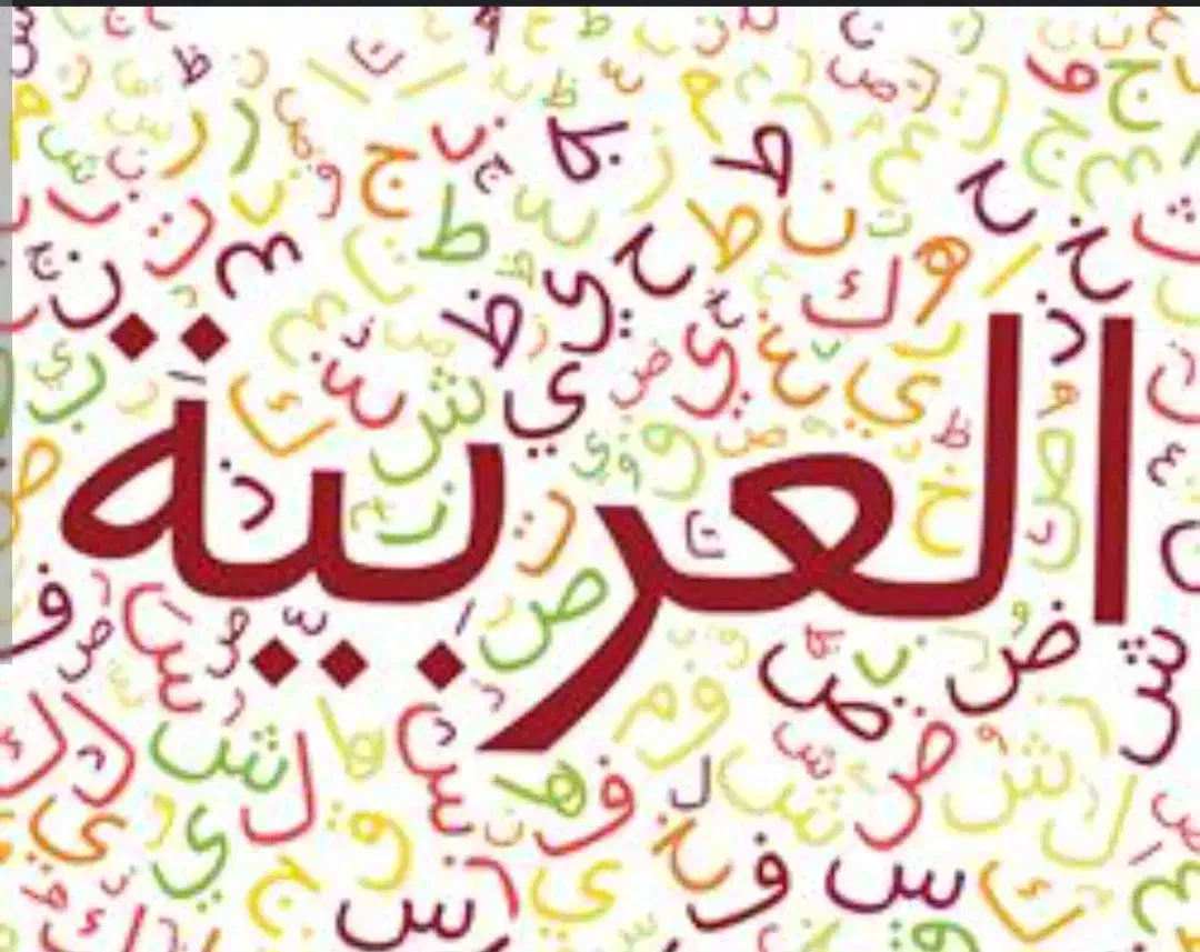 آموزش دروس ریاضی عربی و فارسی|خدمات آموزشی|اردبیل, |دیوار