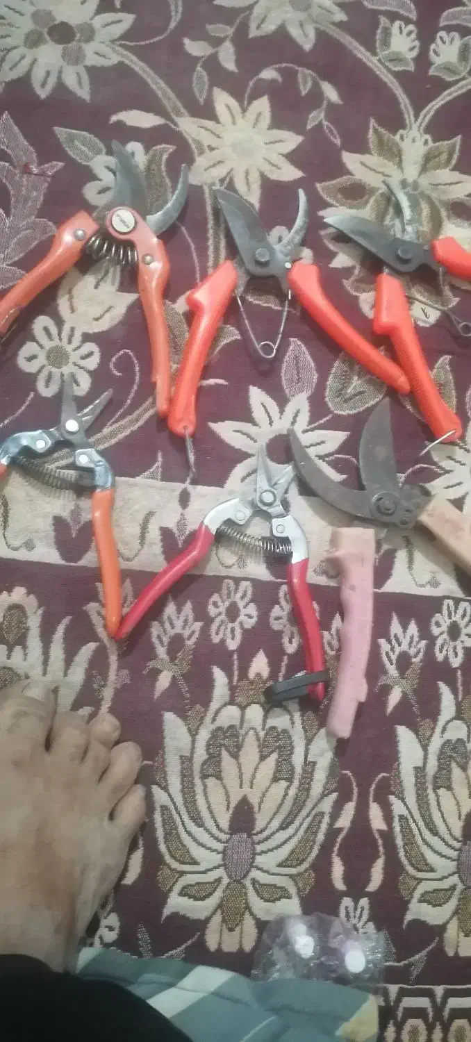 سلام قیچی ارس|ابزارآلات|نگین شهر, |دیوار