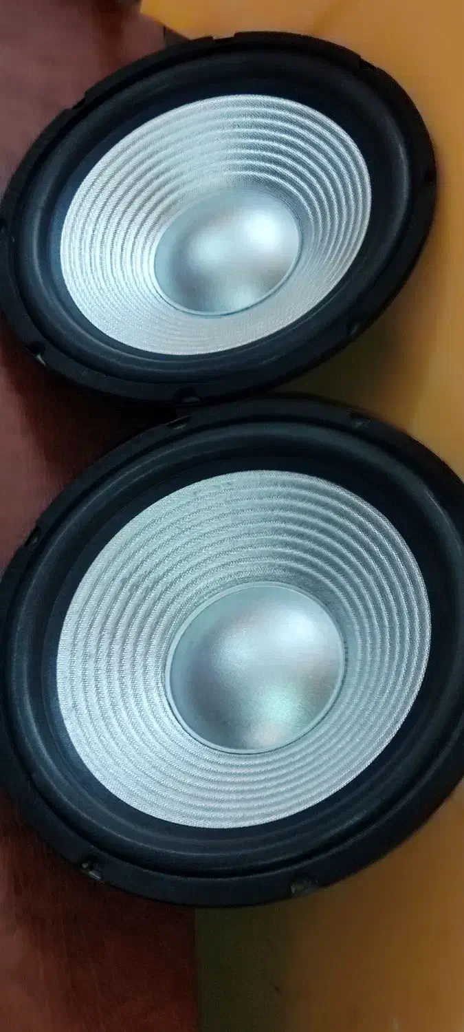 باند ووفر 10 اینچ / 12 اینچ|سیستم صوتی خانگی|رباطکریم, رباطکریم|دیوار