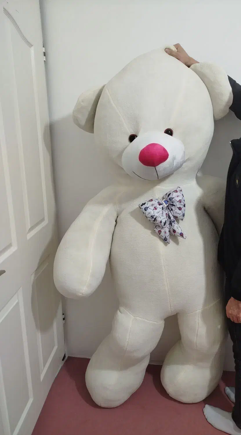 خرس بزرگ|اسباب‌بازی بچه|سلماس, |دیوار