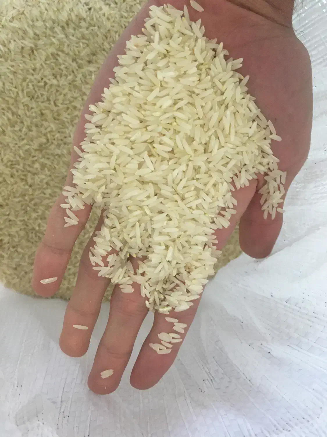 برنج نوک سیاه شمال خراسان|خوردنی و آشامیدنی|تهران, مرزداران|دیوار