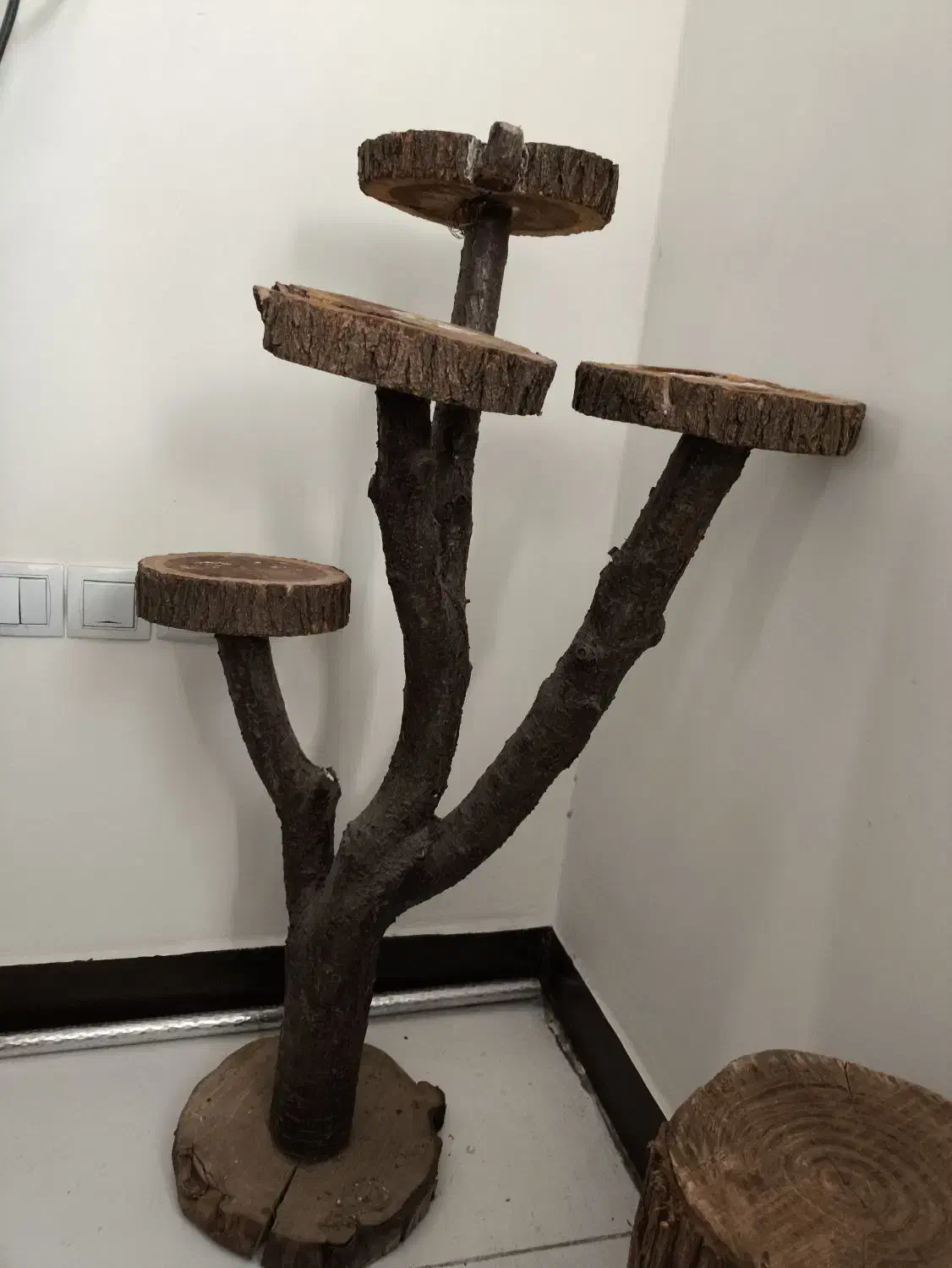 استند گل|گل و گیاه طبیعی|اهواز, سپیدار|دیوار