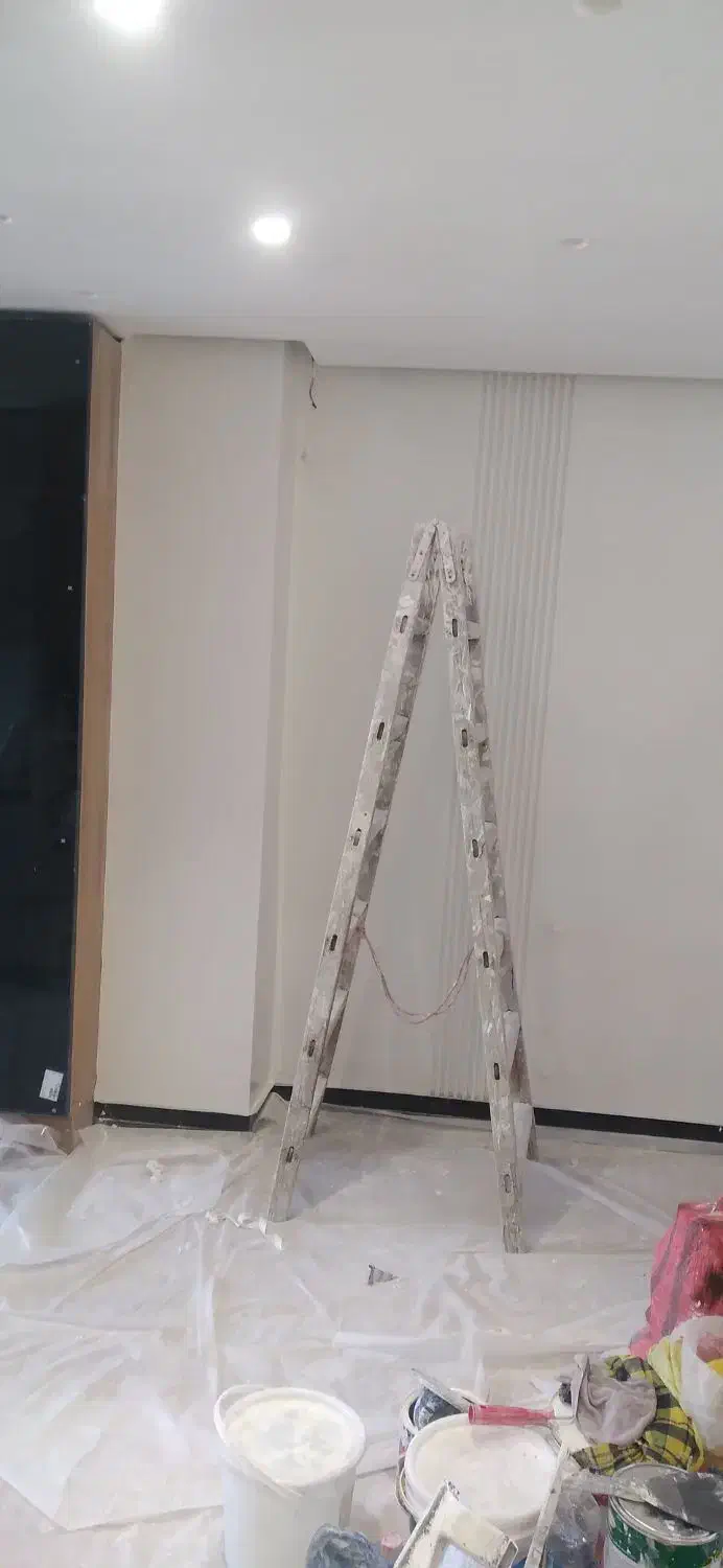 نقاش ساختمان تضمینی و قراردادی|خدمات پیشه و مهارت|تهران, حصار بوعلی|دیوار