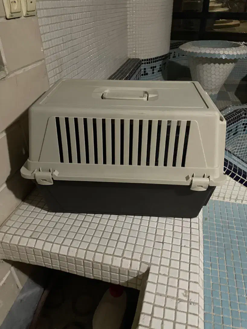 باکس سگ و گربه|لوازم جانبی حیوانات|کرج, فاز ۲ مهرشهر|دیوار