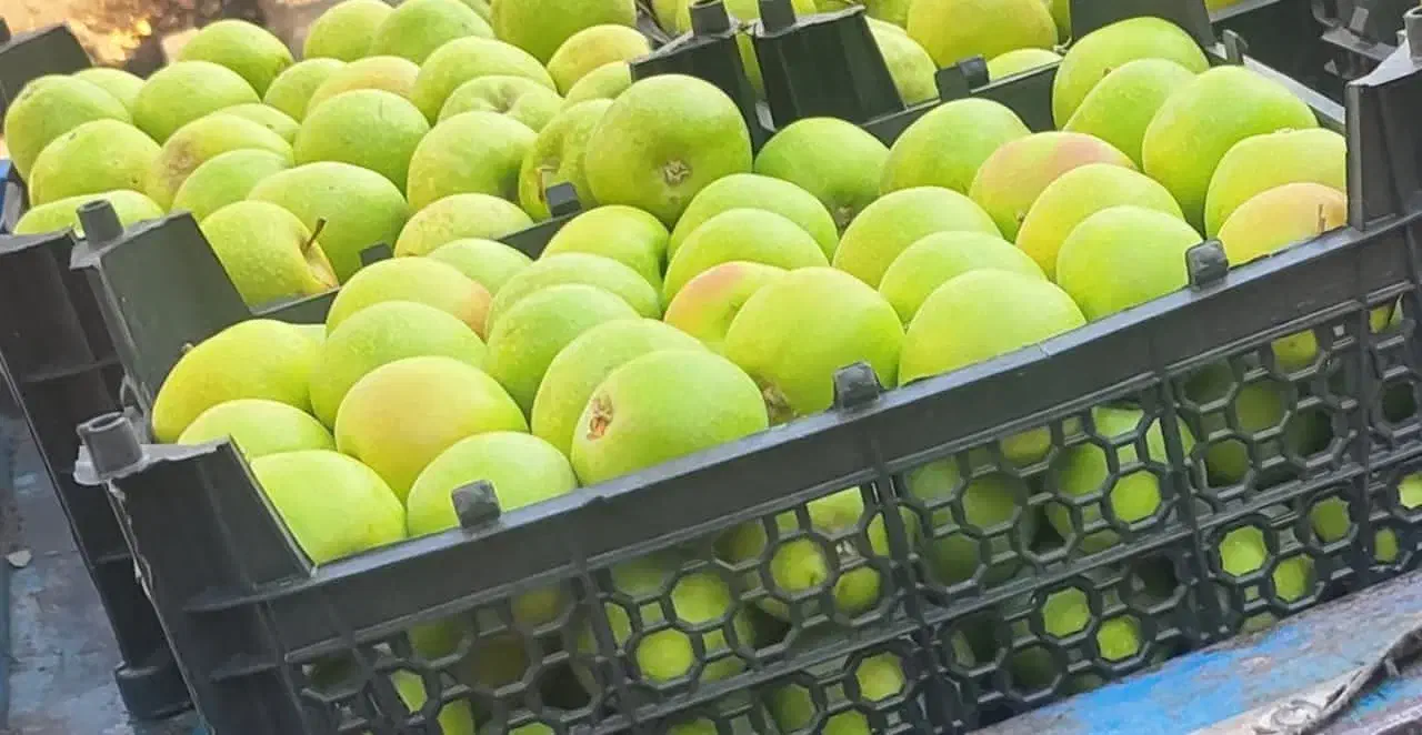 استخدام کارگر ساده در ابمیوه گیری|استخدام خدمات فروشگاه و رستوران|تهران, حکیمیه|دیوار