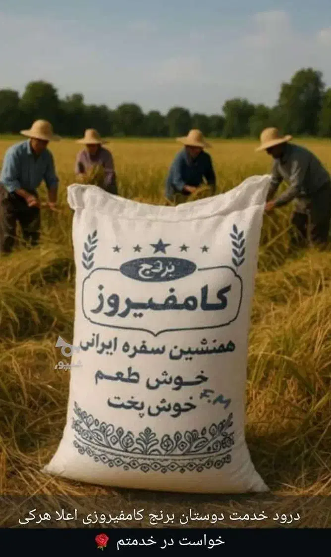 برنج کامفیروزی|خوردنی و آشامیدنی|صدرا-فارس, فاز ۱|دیوار