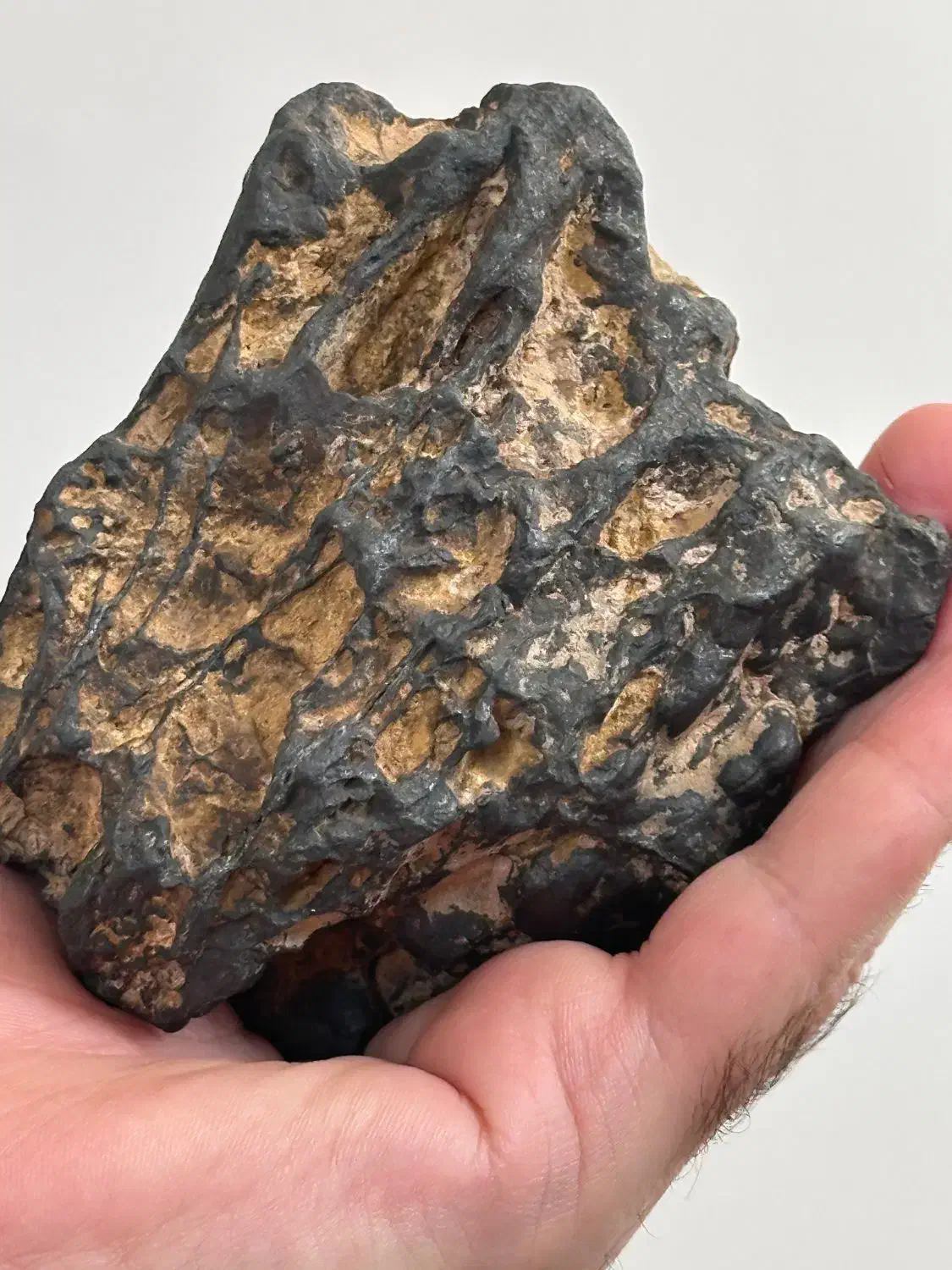 شهاب سنگ|جواهرات|سنندج, |دیوار