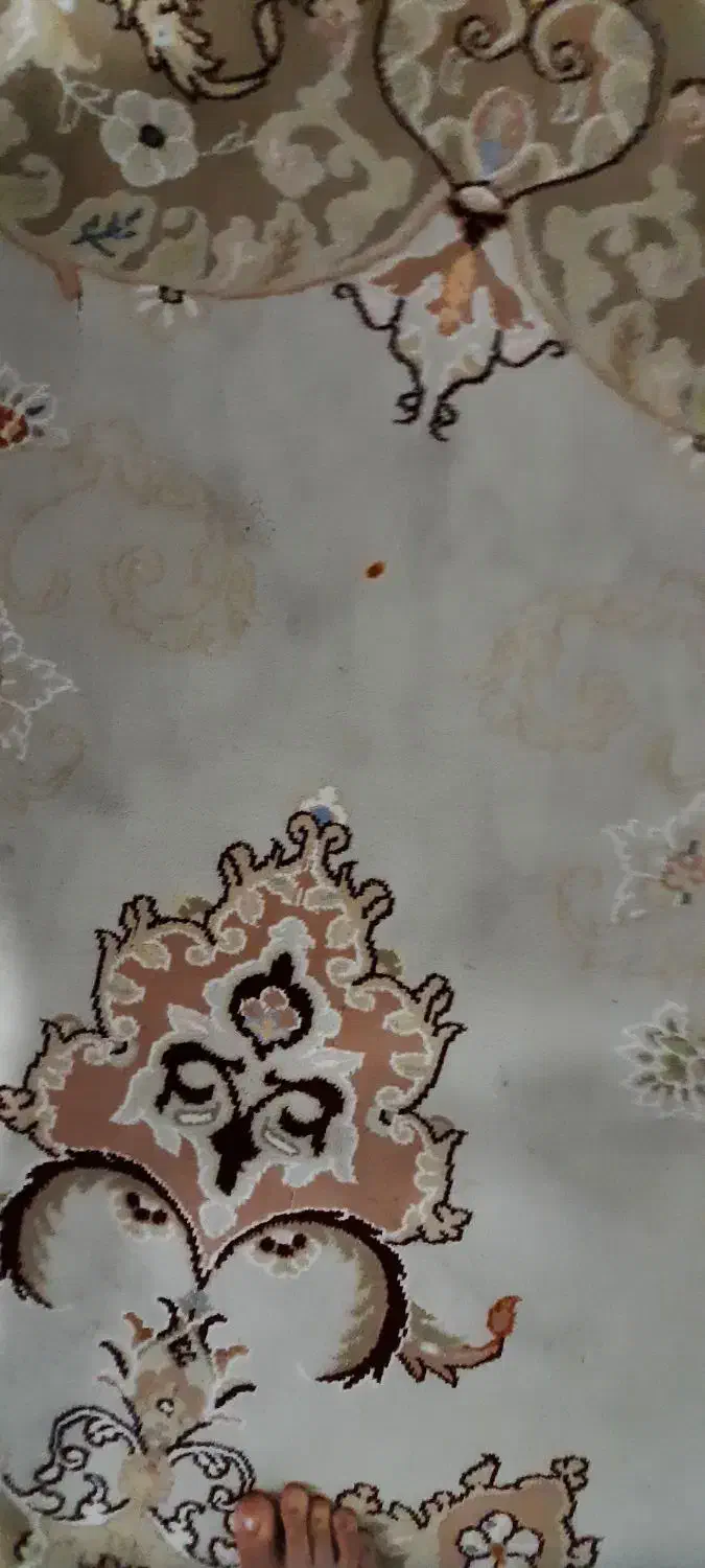 فرش در حد|فرش|قم, زاد|دیوار