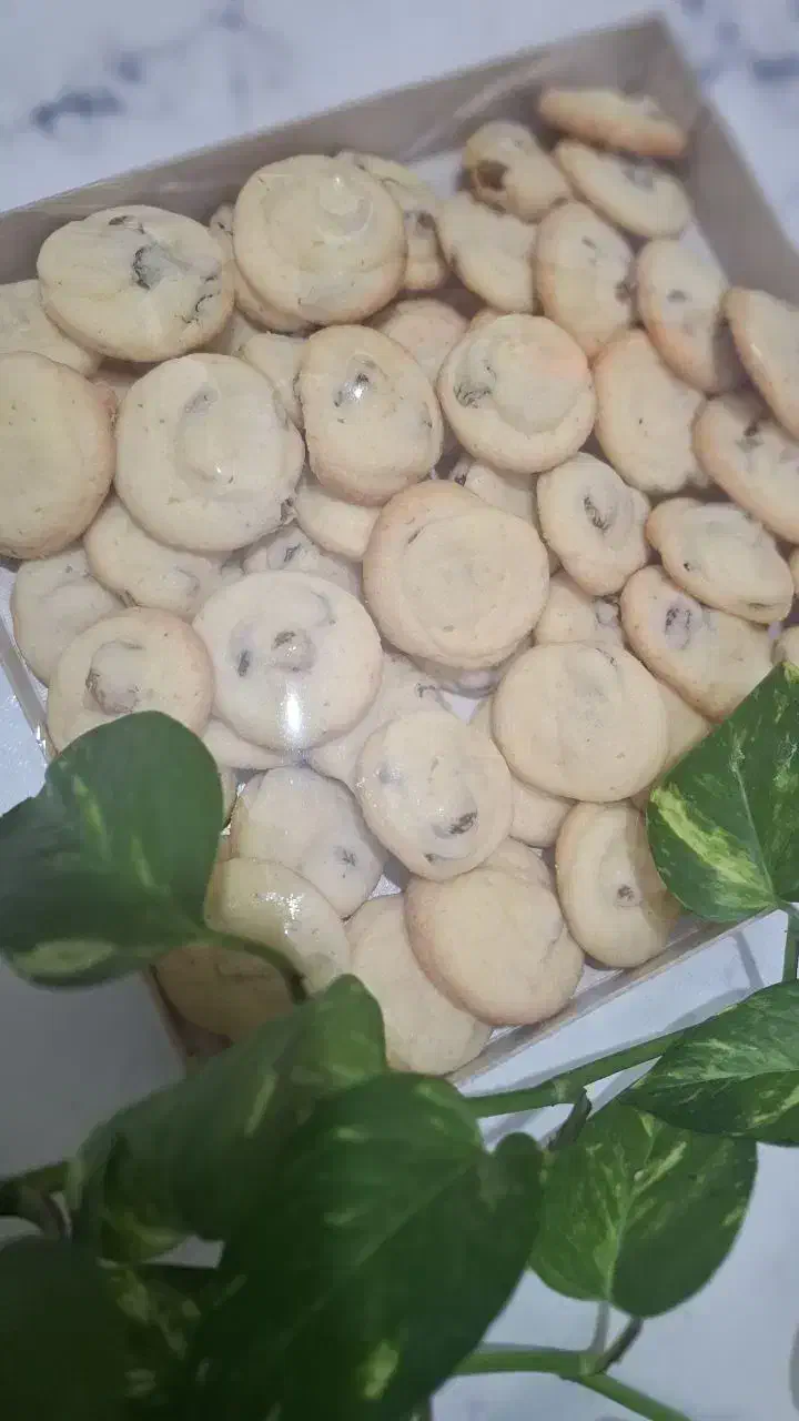 شیرینی خشک|خوردنی و آشامیدنی|مشهد, ایثارگران|دیوار