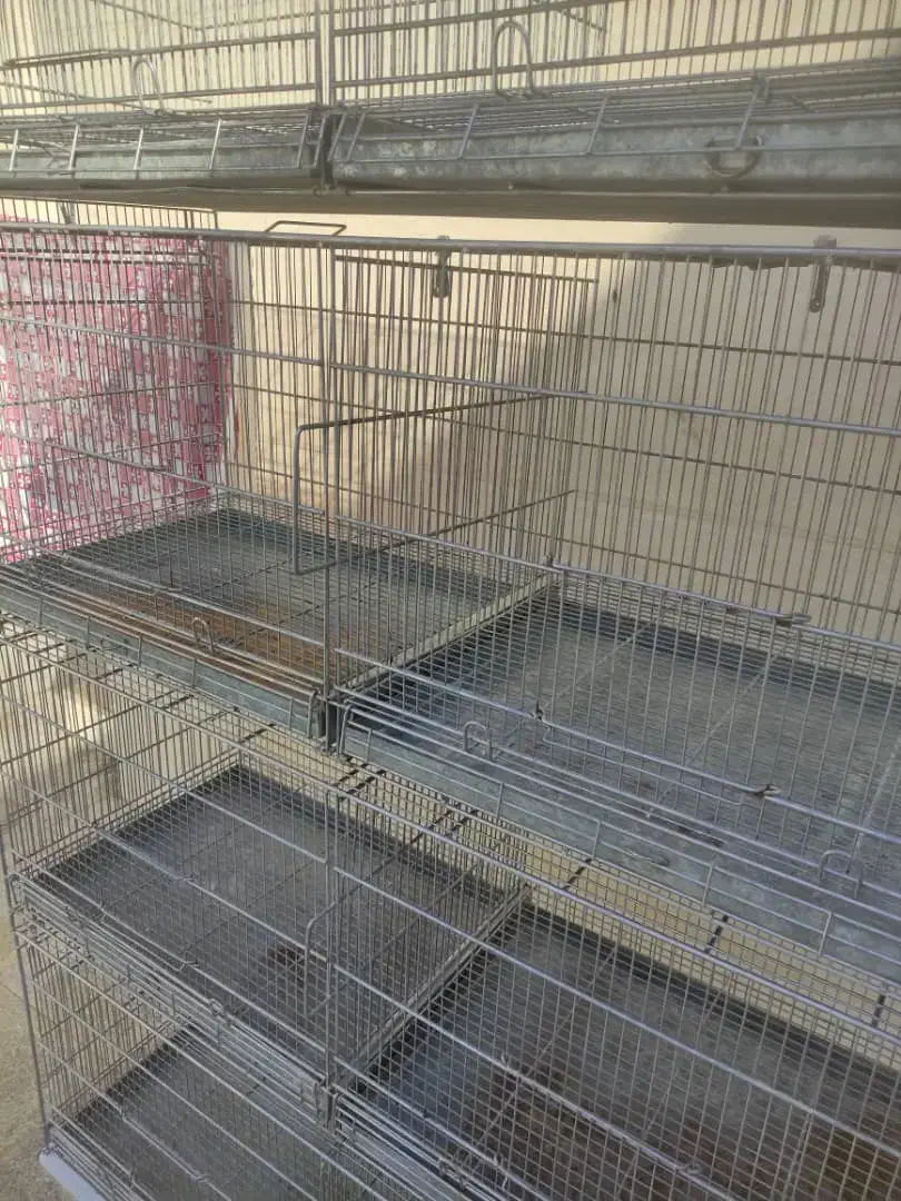 قفس ۸ خان غلامی|لوازم جانبی حیوانات|اهواز, سیصد دستگاه|دیوار