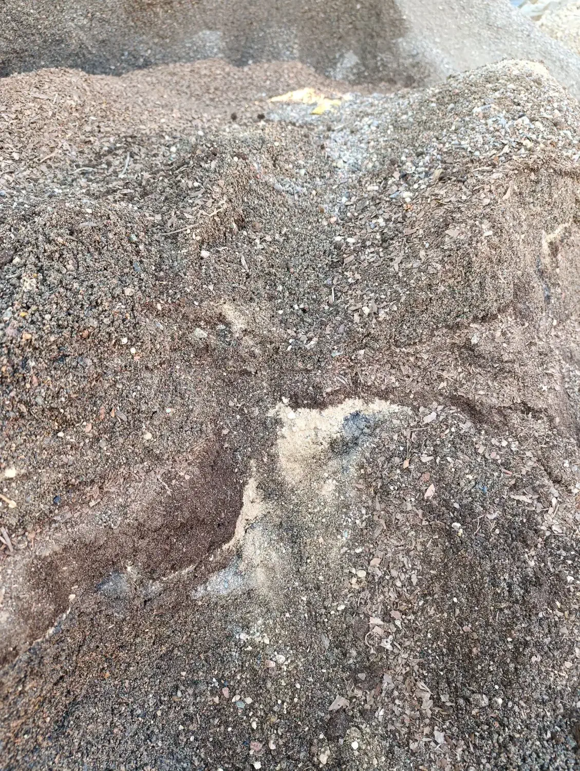 خاک گل کود|گل و گیاه طبیعی|گلبهار, شهر جدید گلبهار|دیوار