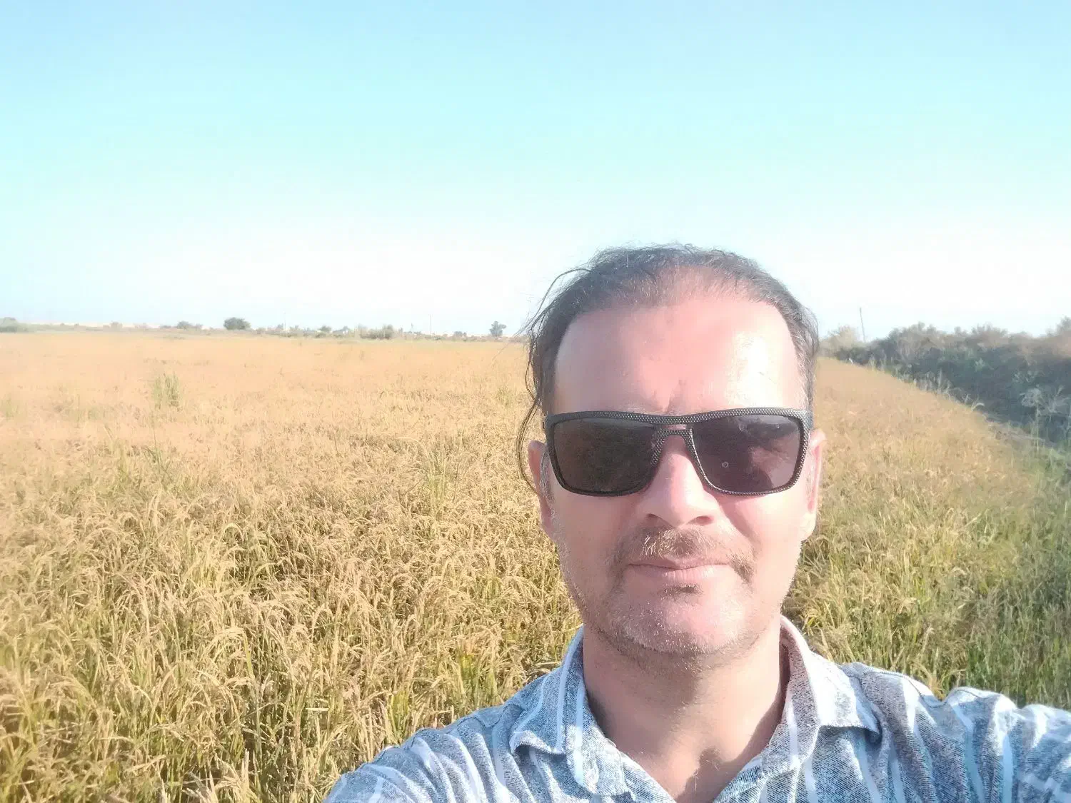 برنج شاهبنپپور/شوشتر،/پخش عمده برنح ایرانی عنبرو|عمدهفروشی|شوشتر, |دیوار