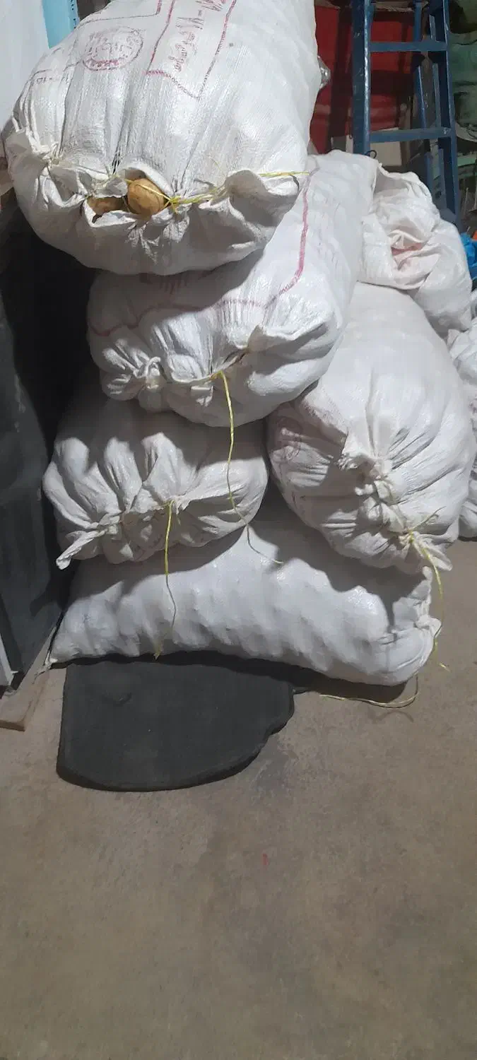 سیب زمینی|خوردنی و آشامیدنی|دیواندره, |دیوار