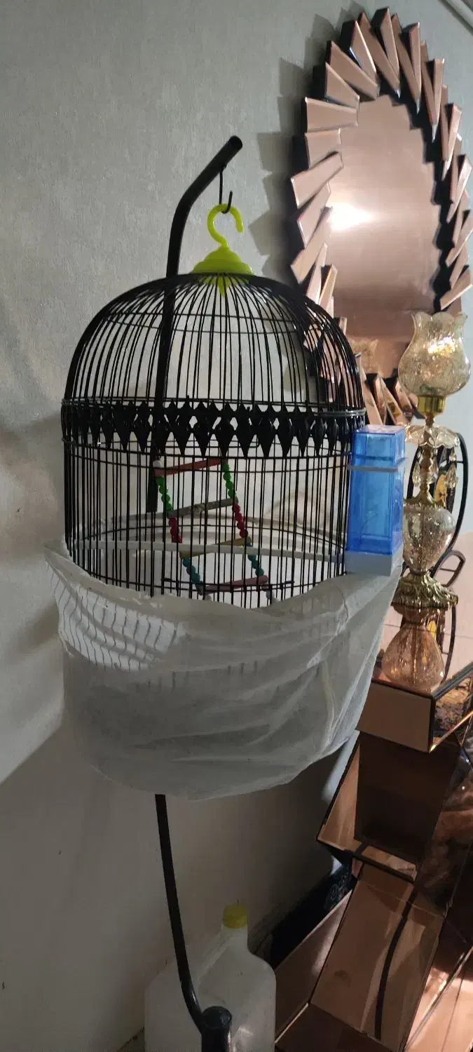 قفس قناری|لوازم جانبی حیوانات|تربتحیدریه, قائم|دیوار