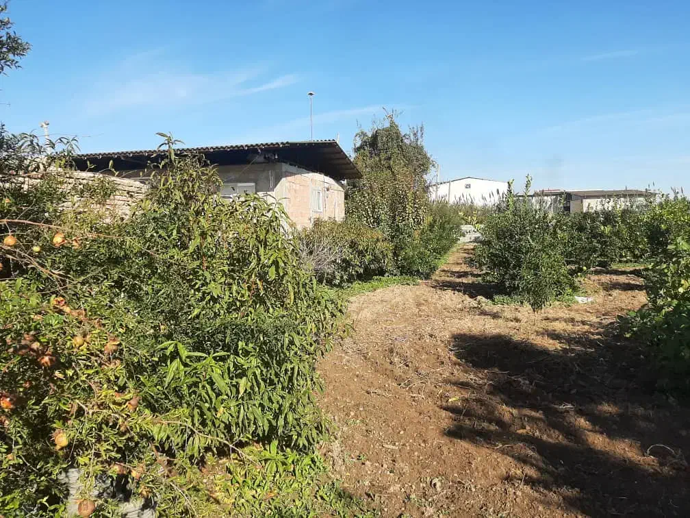 ۱۰۰۰متر زمین با امتیاز|فروش زمین و ملک کلنگی|طبقده, |دیوار