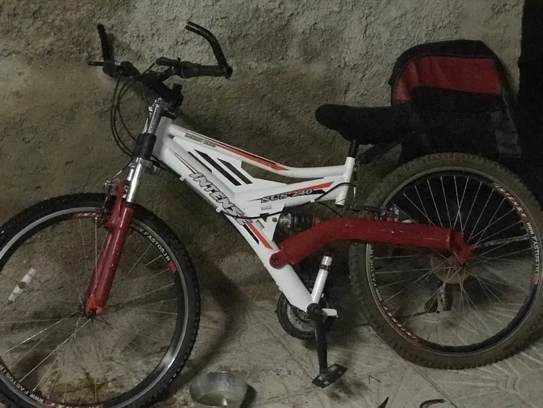 دوچرخه اینتنز|دوچرخه، اسکیت، اسکوتر|مرودشت, فرهنگ|دیوار