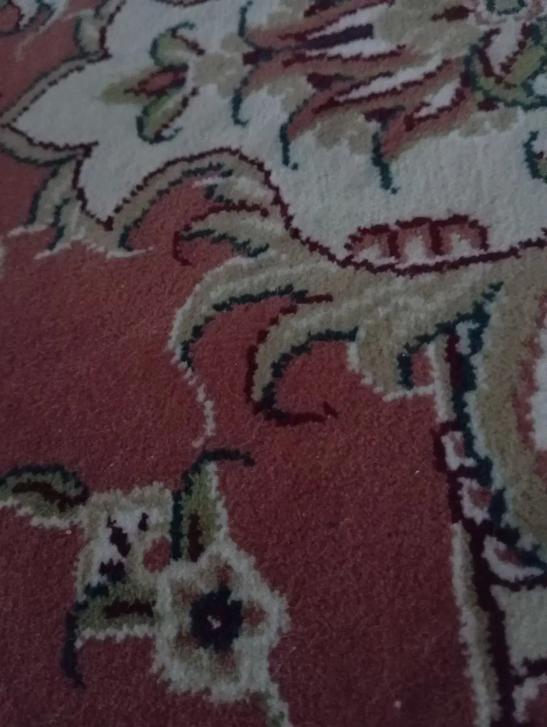 فرش مشهد|فرش|نیشابور, هفده شهریور|دیوار