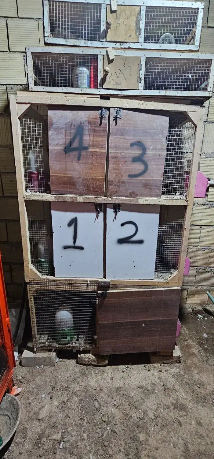 ۲ عدد قفس جفتگاه|لوازم جانبی حیوانات|گناباد, |دیوار