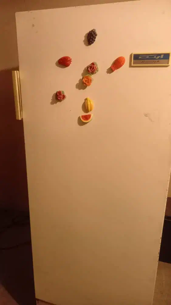 یخچال فربزر|یخچال و فریزر|تهران, عباس‌آباد|دیوار