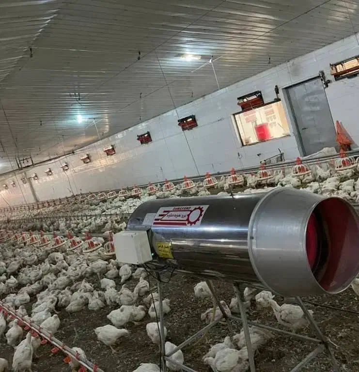 کارگر دائم مرغداری|استخدام صنعتی، فنی، مهندسی|کردکوی, |دیوار