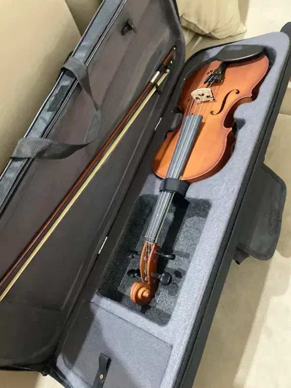 فروش ویولن والنسیا - دست نخورده|ویولن|تهران, دبستان|دیوار