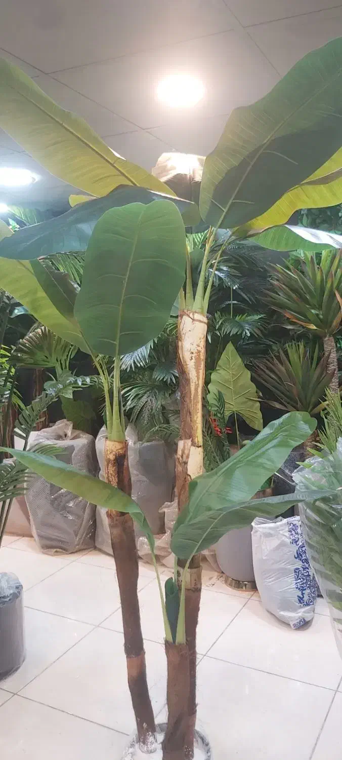 درختچه تزیینی|گل مصنوعی|نظرآباد, رسالت|دیوار