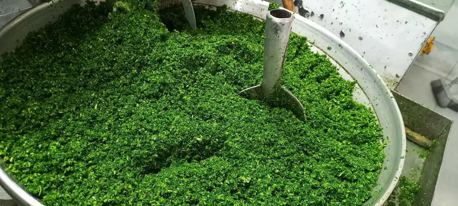 قرمه و آشی سببزی خرد شده|خوردنی و آشامیدنی|قم, صادقی|دیوار