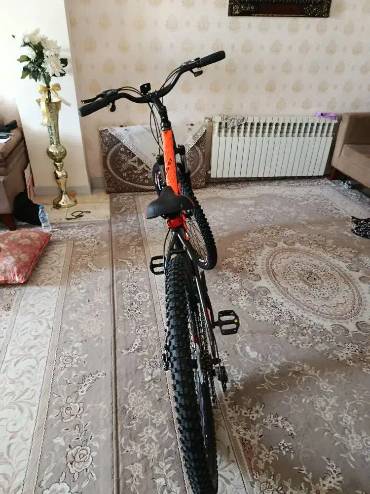 دوچرخه ویوا (VIVA) سایز 29 کاملا نو نو|دوچرخه، اسکیت، اسکوتر|محمدشهر, همایون ویلا|دیوار