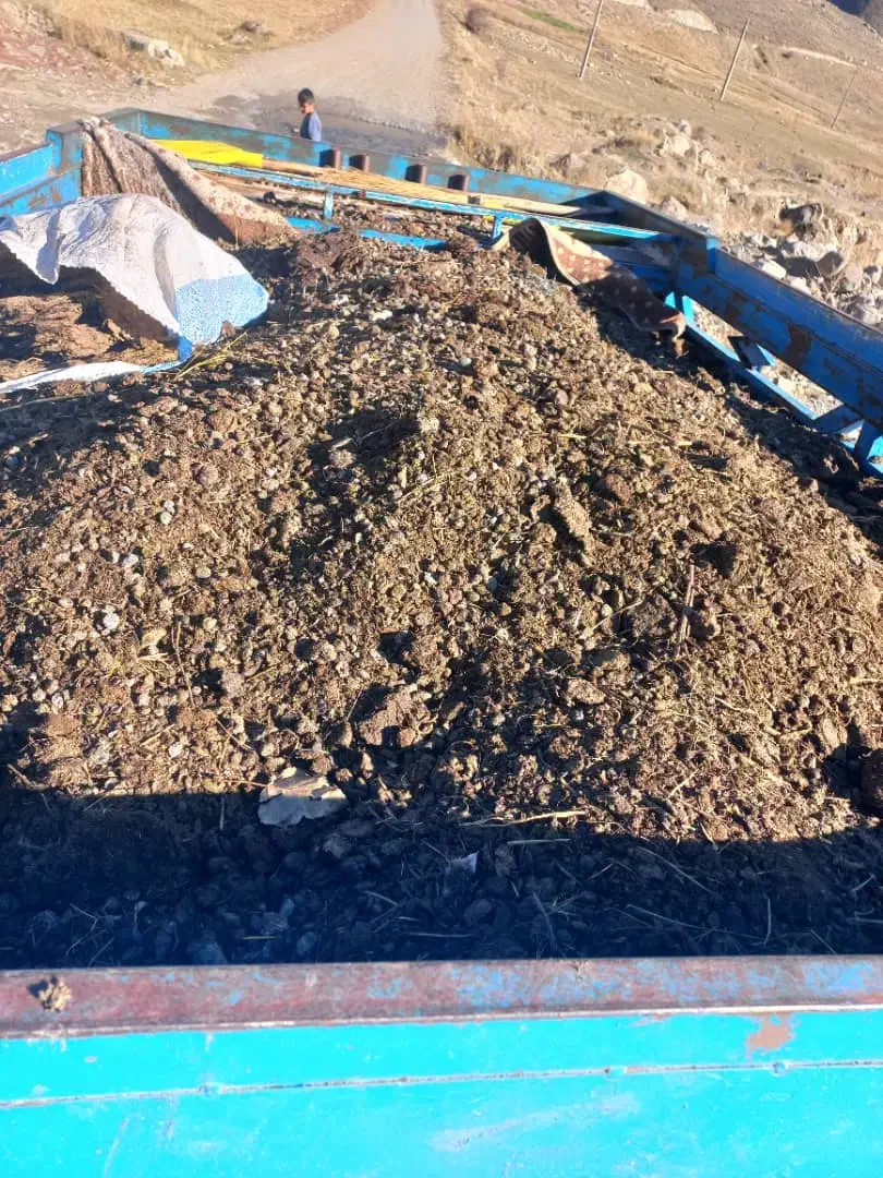 کود، پهن، قووت|خدمات باغبانی و درختکاری|اهر, |دیوار