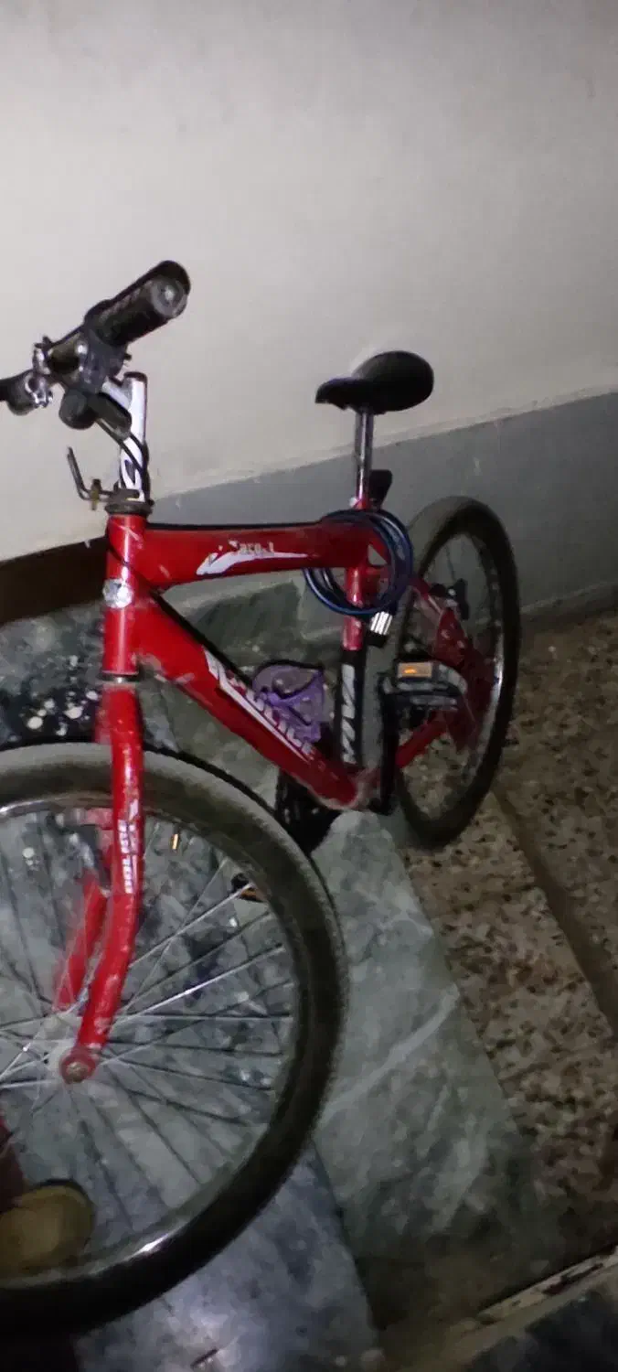 دوچرخه اومگا ۲۴|دوچرخه، اسکیت، اسکوتر|الشتر, |دیوار