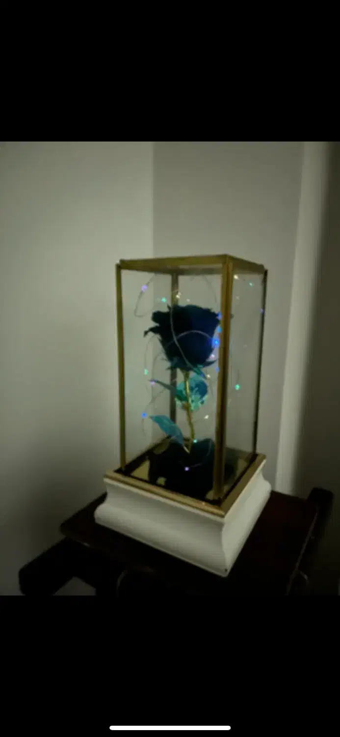 گل رز جاودان|گل و گیاه طبیعی|شیراز, شهرک ولیعصر|دیوار