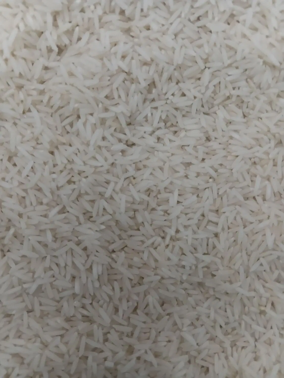 برنج|خوردنی و آشامیدنی|شفت, |دیوار