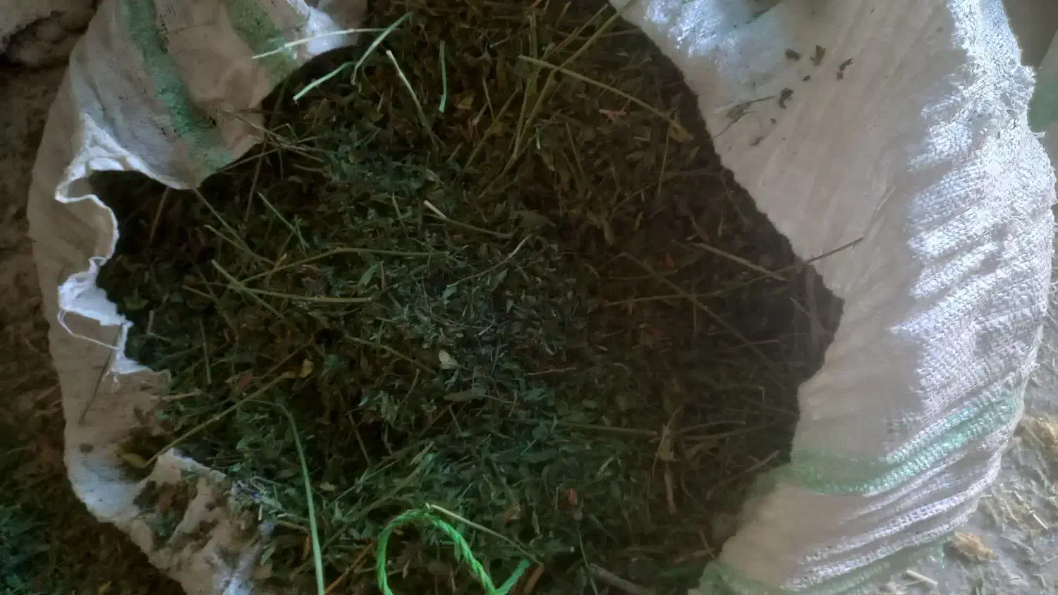 کاه یونجه چن چهار|لوازم جانبی حیوانات|بروجرد, |دیوار