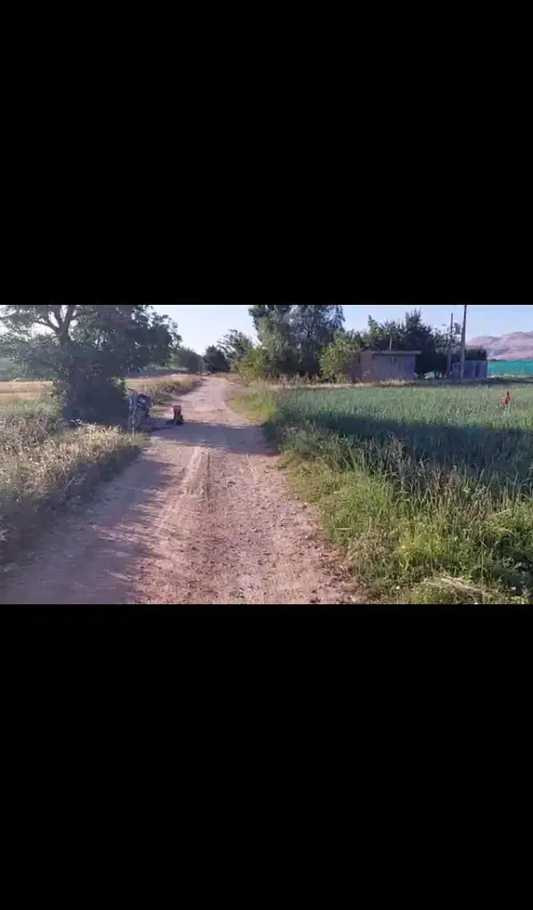 زمین کشاورزی|فروش دفتر صنعتی، کشاورزی، تجاری|سپیدان, |دیوار